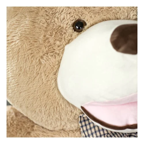 Teddyway