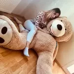 Accueil - Teddyway