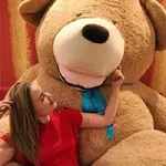 Accueil - Teddyway