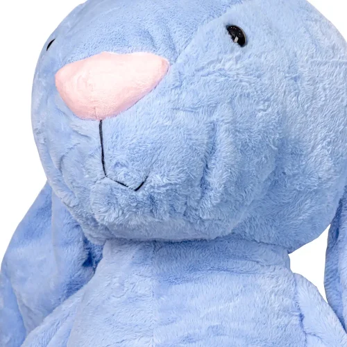 Teddyway
