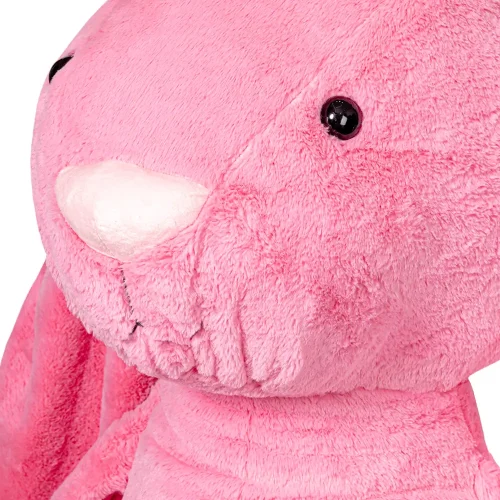 Teddyway