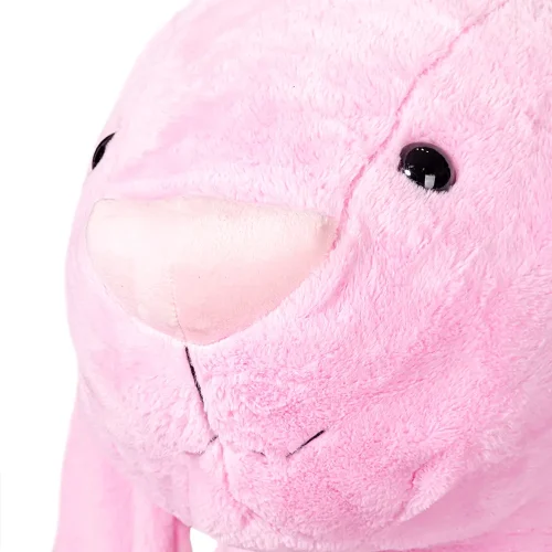Teddyway