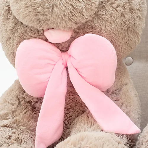 Teddyway