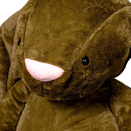 Teddyway