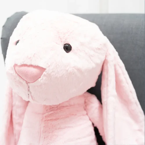 Teddyway